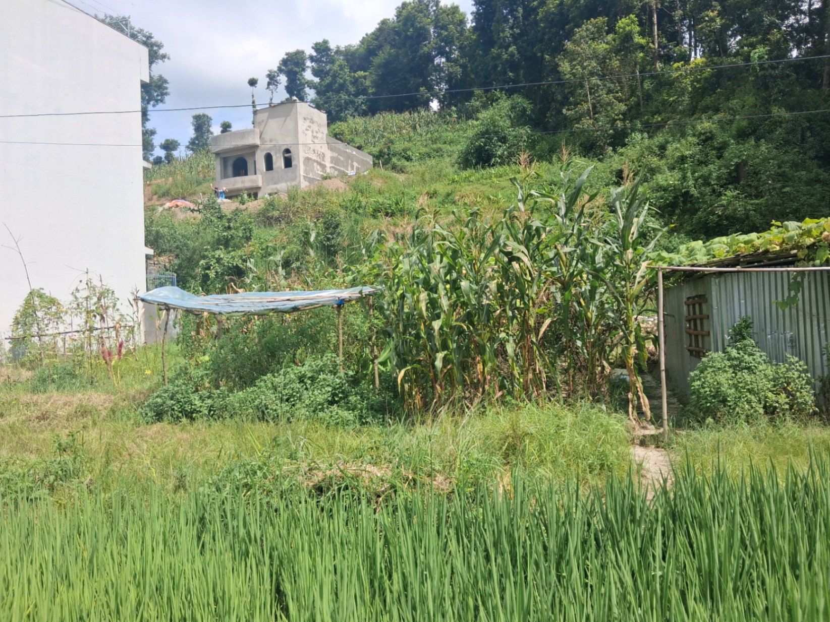 #SS2476 Residential Land on sell at Khulaltar, Shankharapur