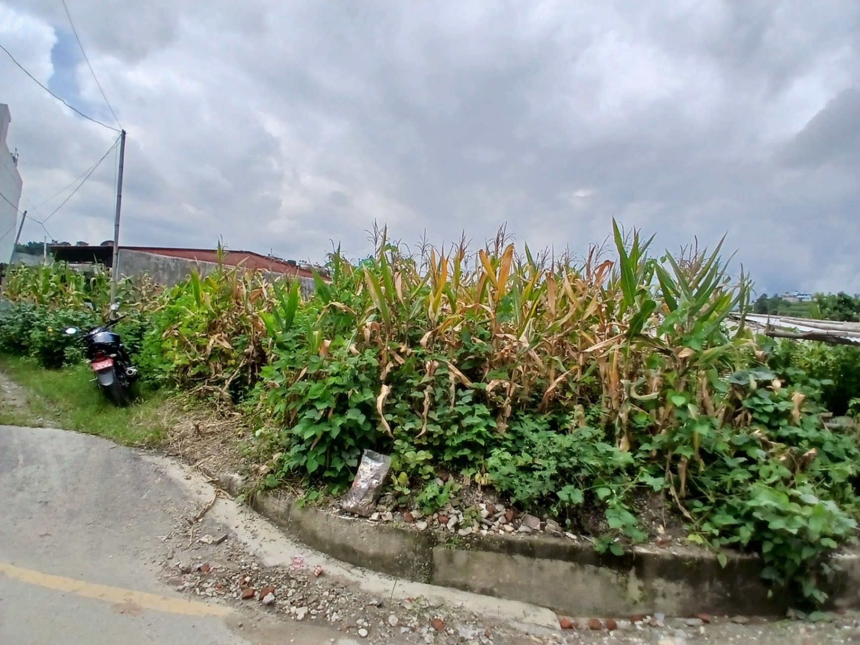 #SS2454 Semi-commericial Land on sell at Mulpani, Kageshwari-Manohara