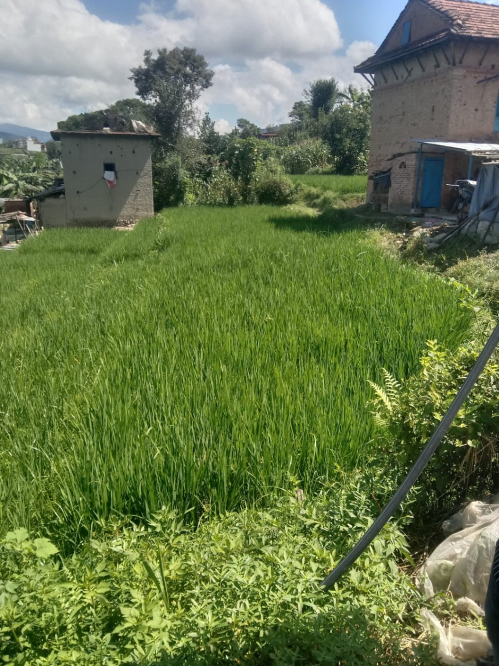 #SS2510 Residential Land on sell at Chittapol, Suryabinayak