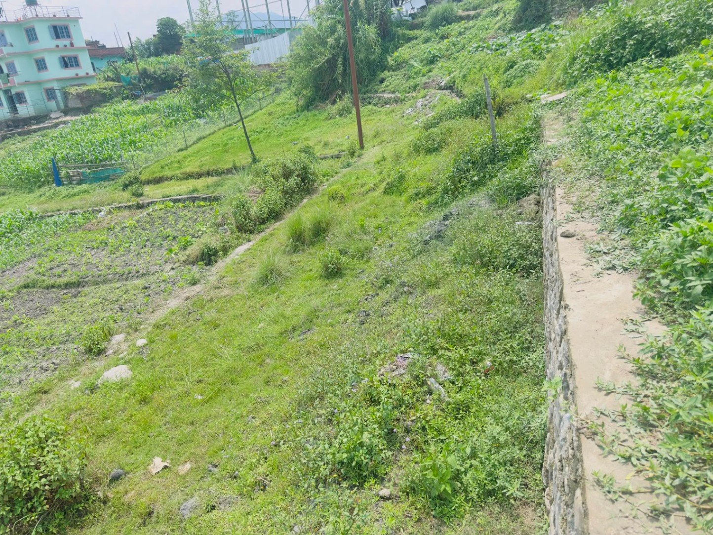 #SS1932 Residential Land on sell at Tarakeshwar 7 road, Tarakeshwar