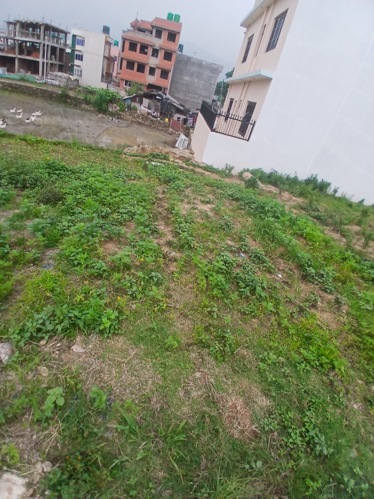 #SS1756 Residential Land on sell at Dachi Nayagaun, Kageshwari-Manohara