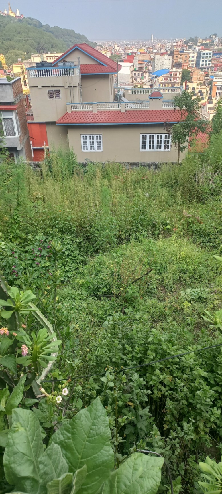 #SS2155 Residential Land on sell at Swoyambhu, Nagarjun