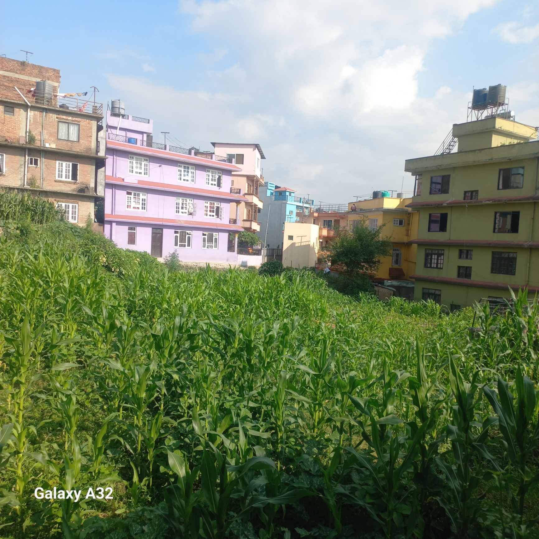 #SS2065 Residential Land on sell at Bafal, Nagarjun
