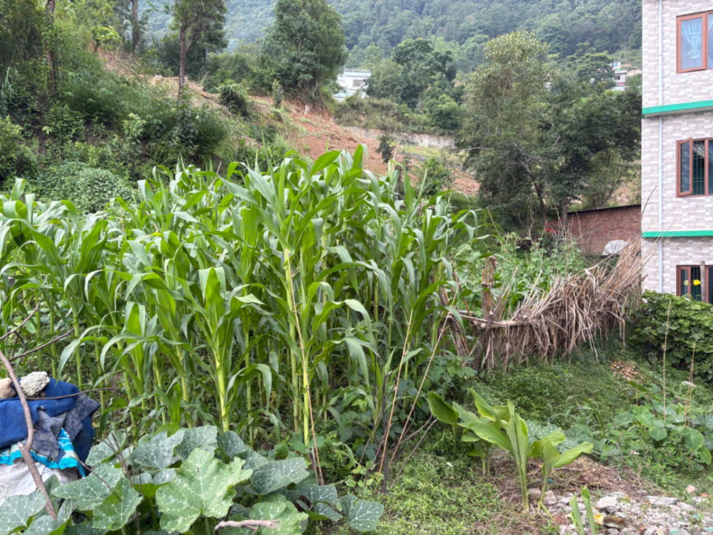 #SS1972 Residential Land on sell at Jhulpokhari, Kirtipur