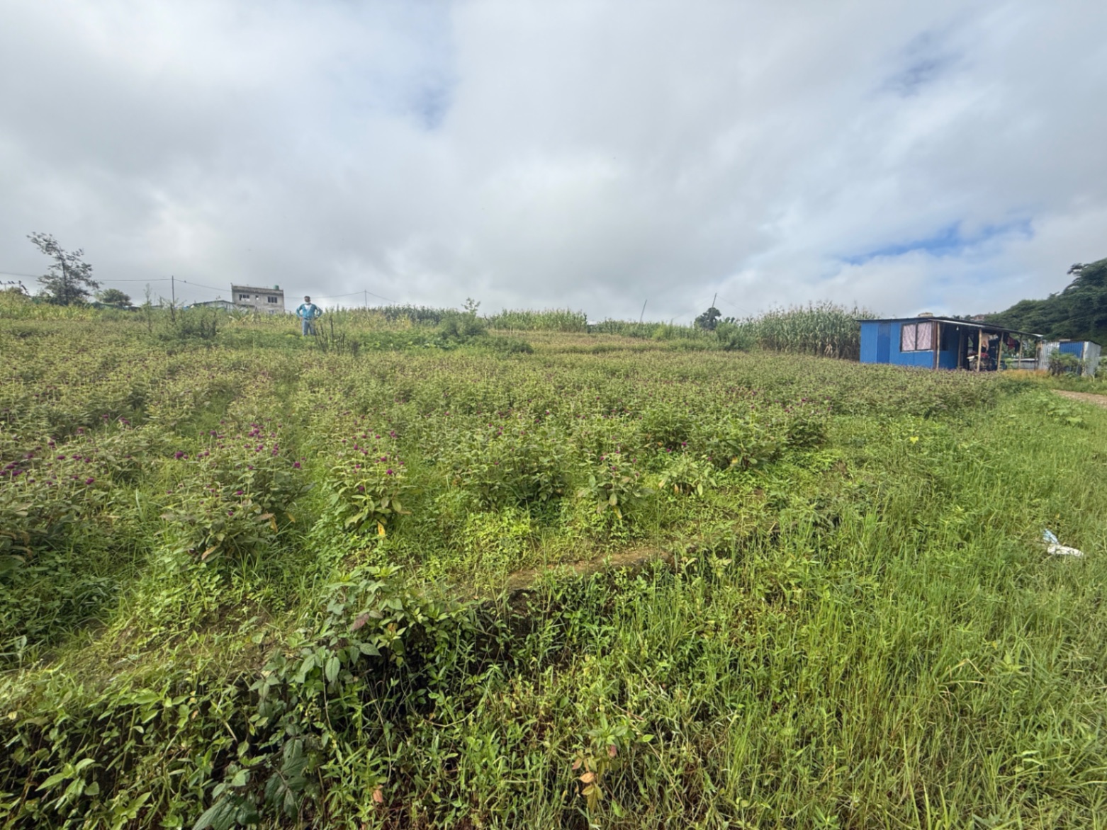 #SS2435 Plotting Land on sell at Dhapakhel, Lalitpur
