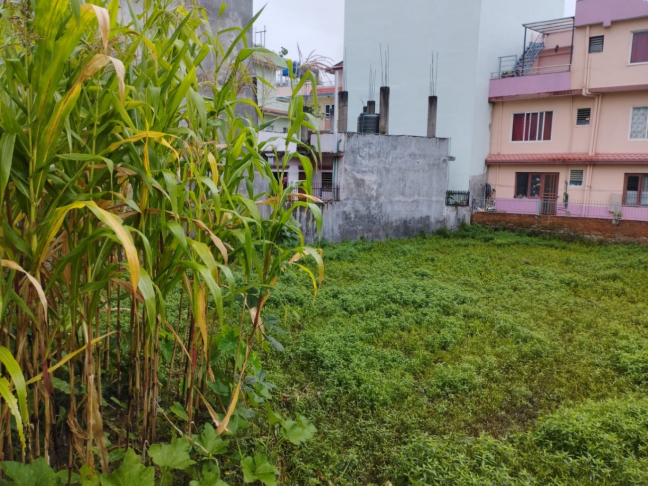 #SS2363 Residential Land on sell at Harrisiddhi, Lalitpur