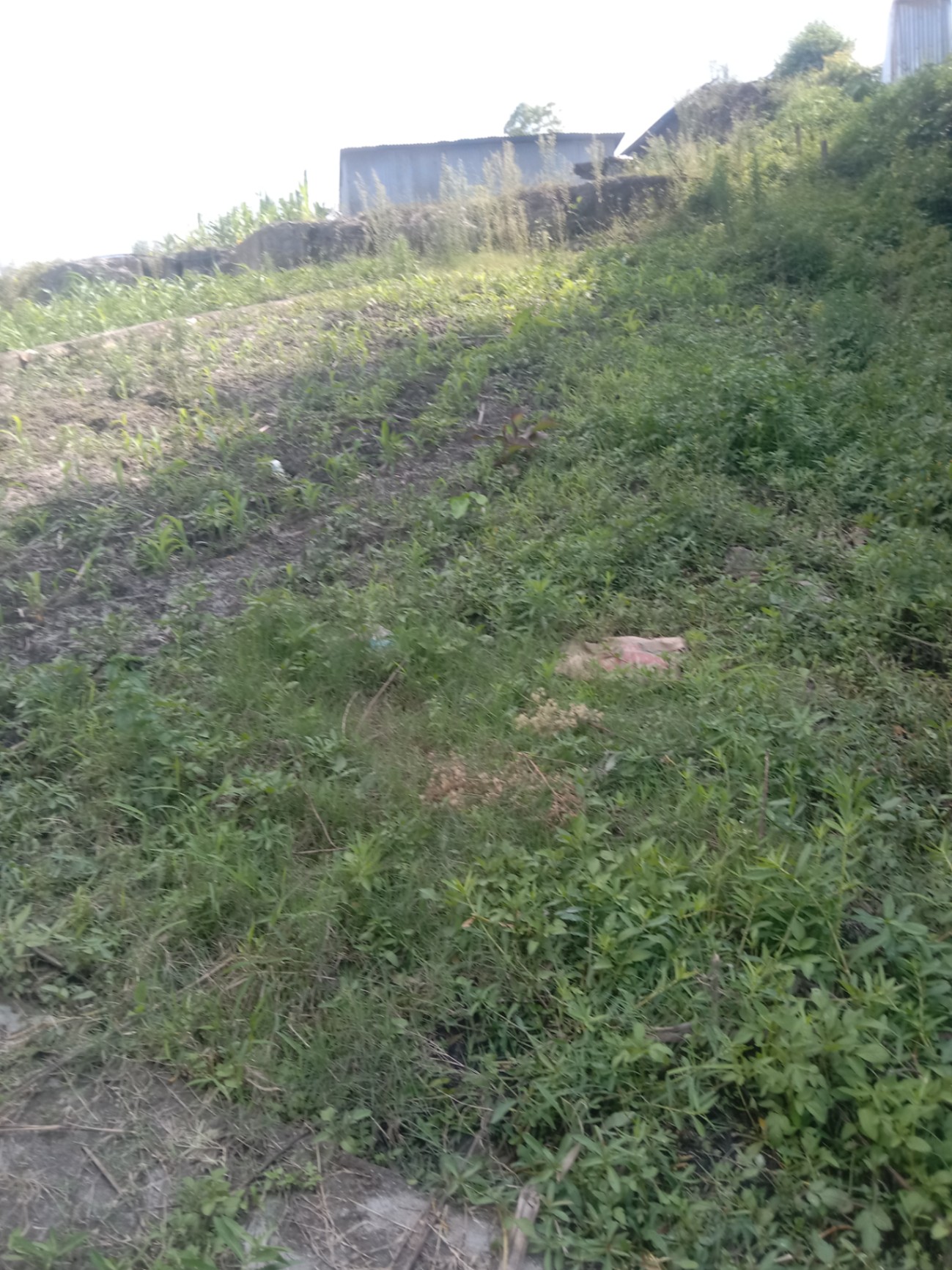 #SS2158 Residential Land on sell at Tathali, Changunarayan