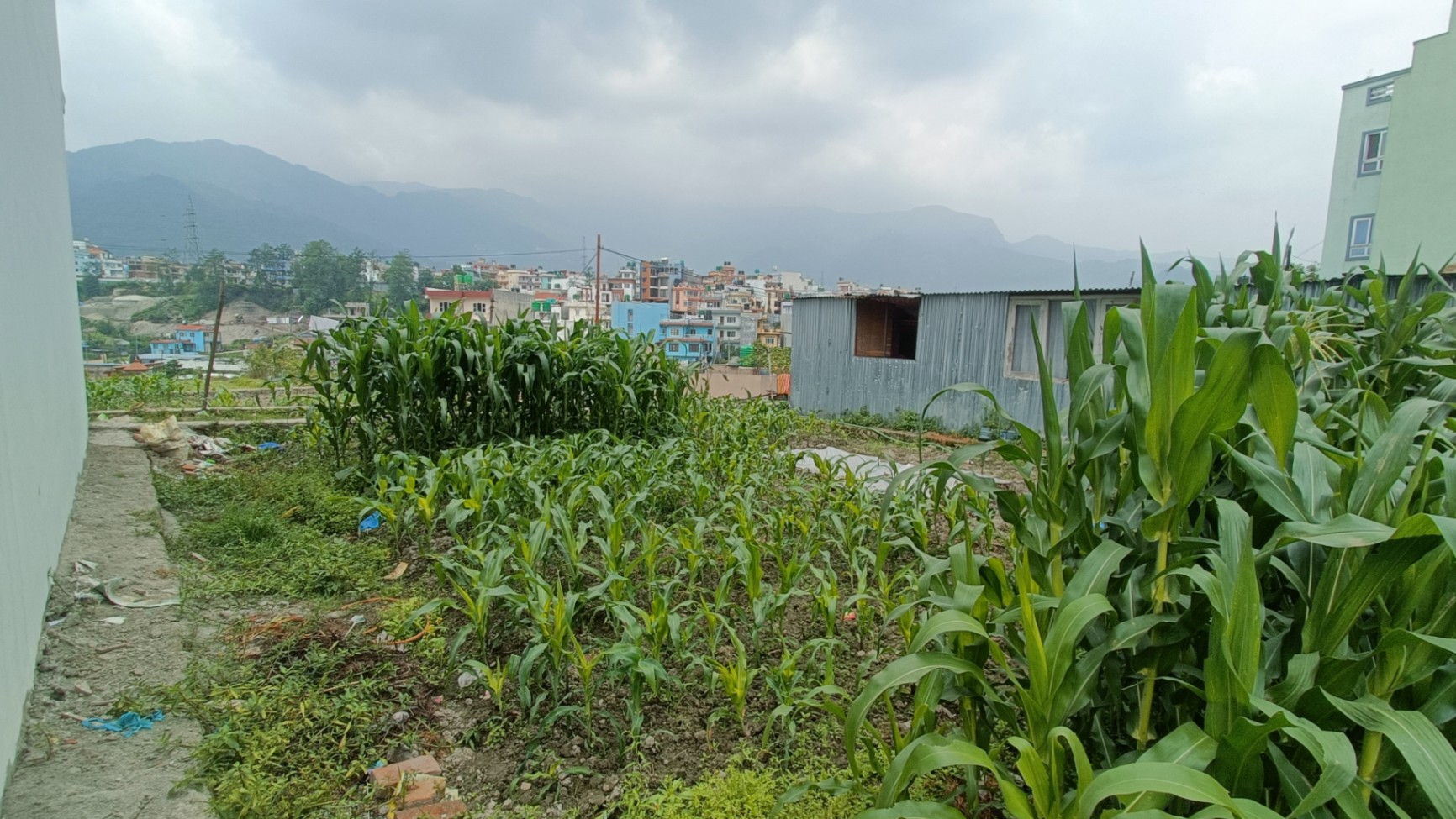 #SS1744 Semi-commericial Land on sell at Hattigauda, Budhanilkantha