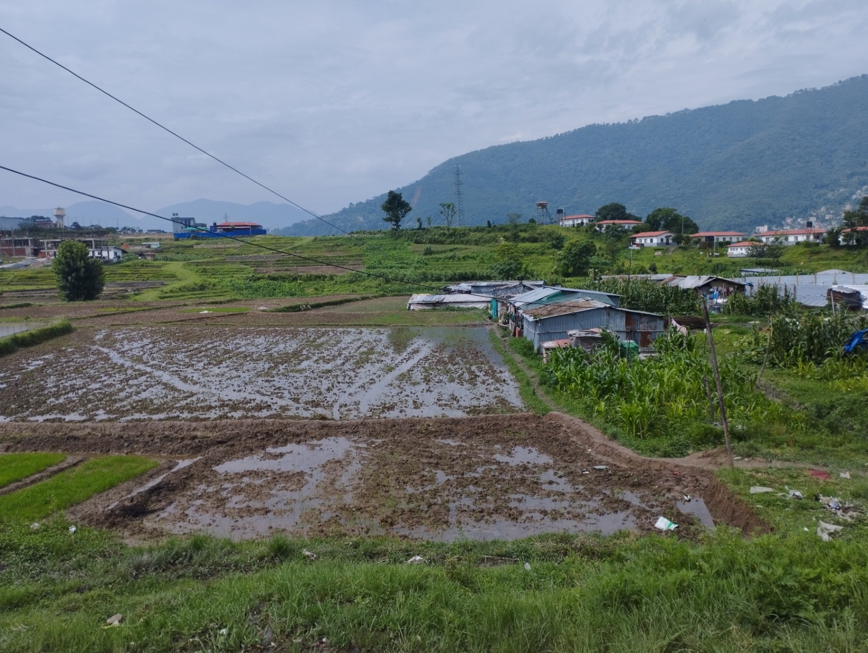 #SS2009 Residential Land on sell at , Lalitpur