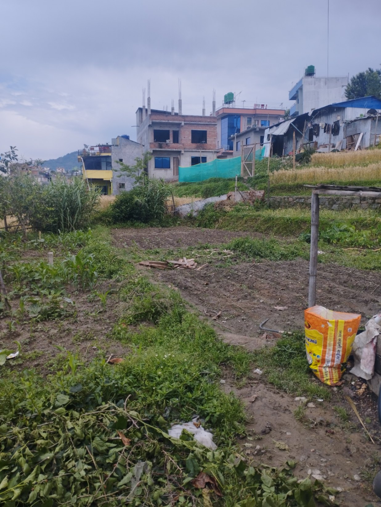 #SS1616 Residential Land on sell at Godamchaur, Godawari
