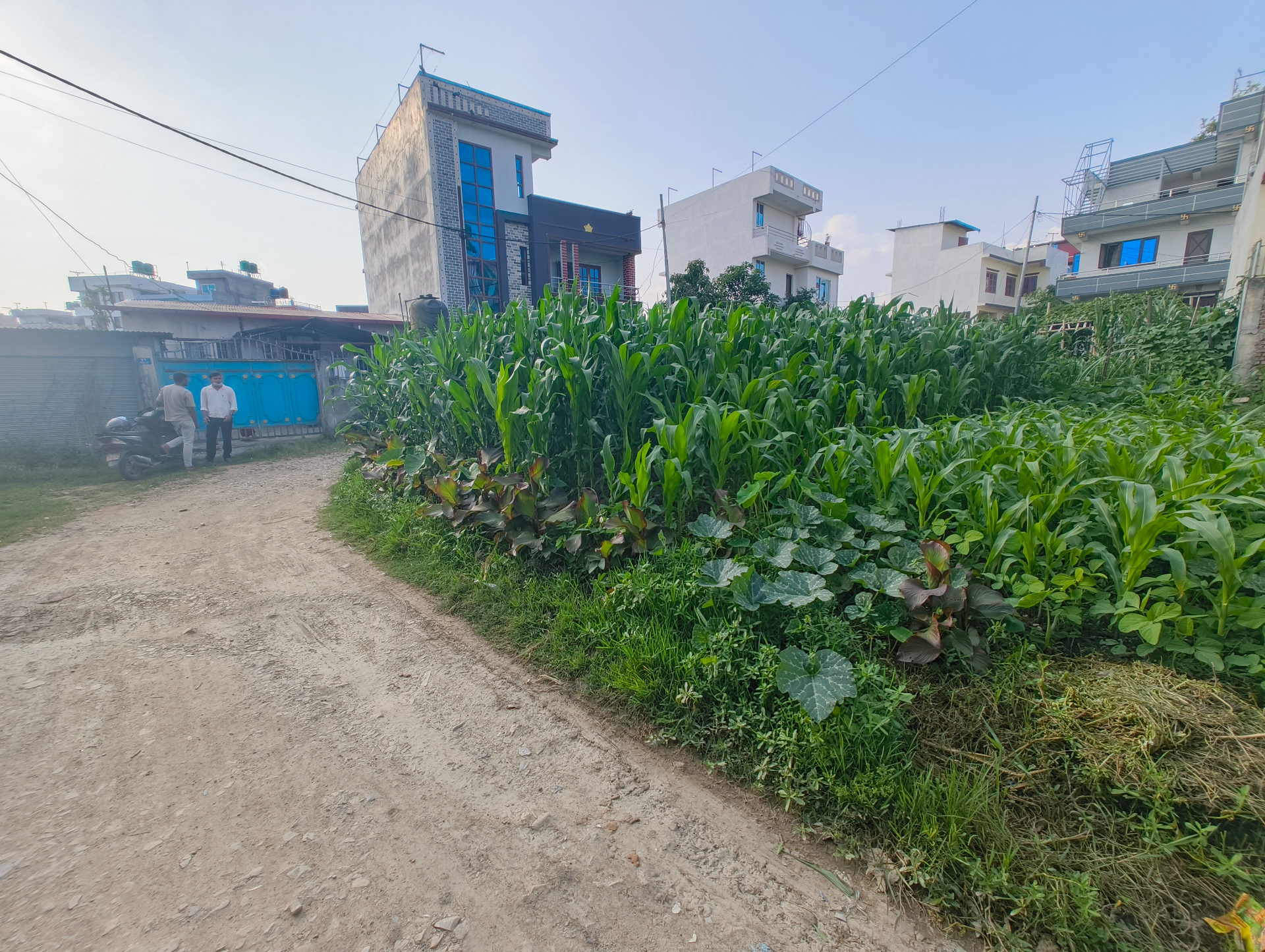 #SS1916 Residential Land on sell at Mulpani maitinepal, Kageshwari-Manohara