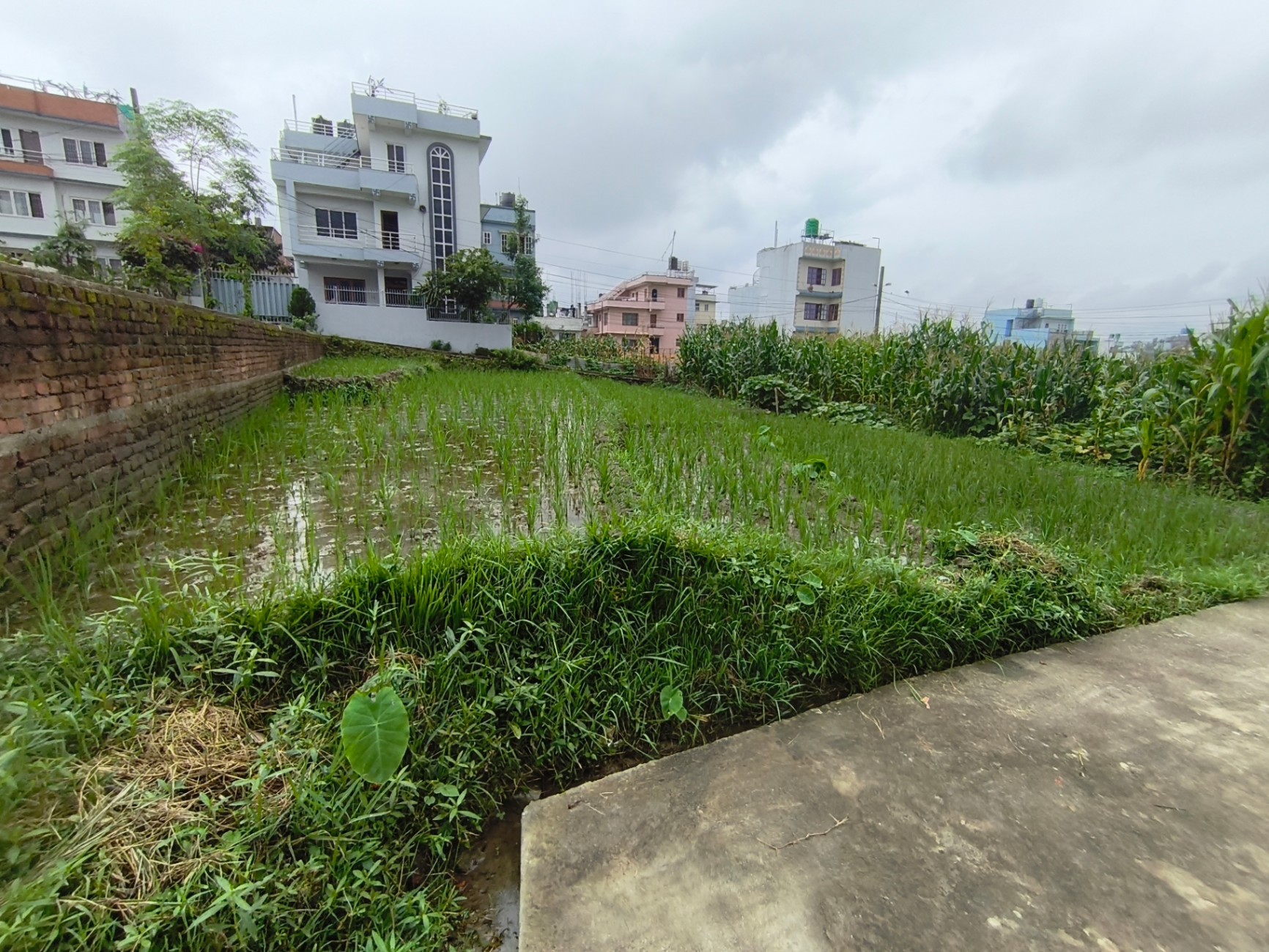 #SS2305 Residential Land on sell at Lubhu busspark najikai, Mahalaxmi
