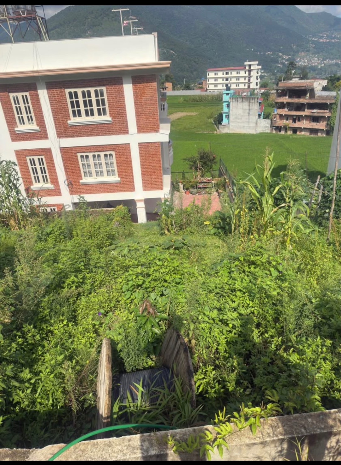 #SS1981 Plotting Land on sell at Bungamati, Lalitpur