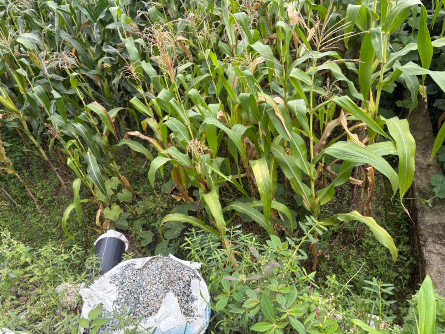 #SS2321 Residential Land on sell at Satungal, Chandragiri