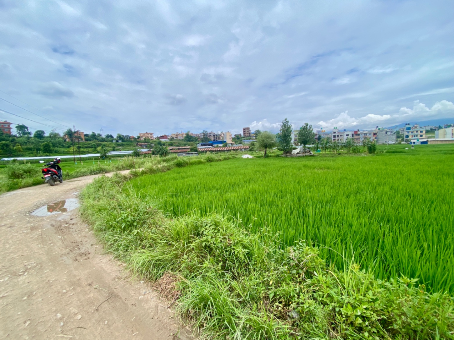 #SS2473 Semi-commericial Land on sell at Nikoshera, Madhyapur