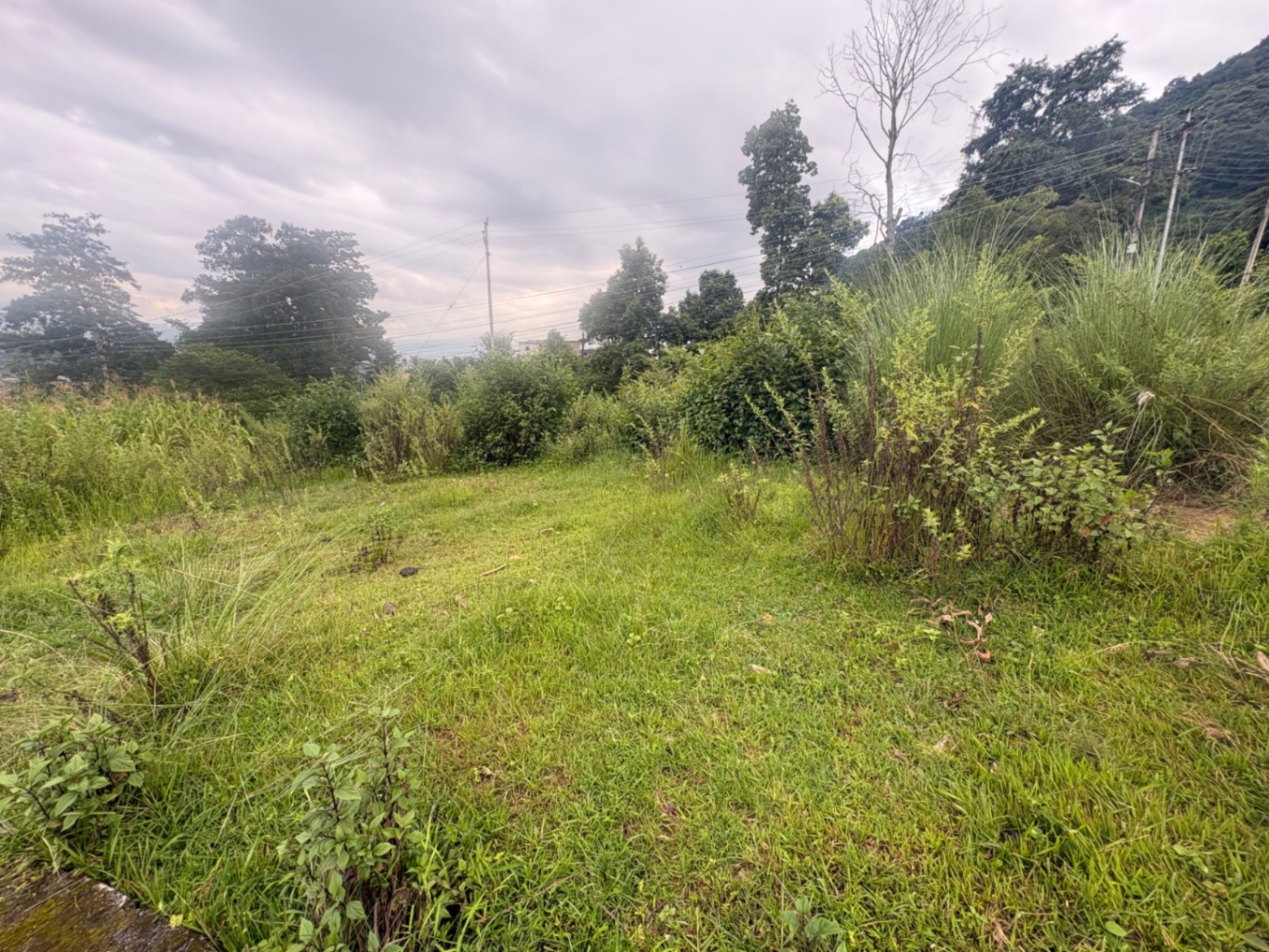 #SS2531 Residential Land on sell at Thankot, Chandragiri