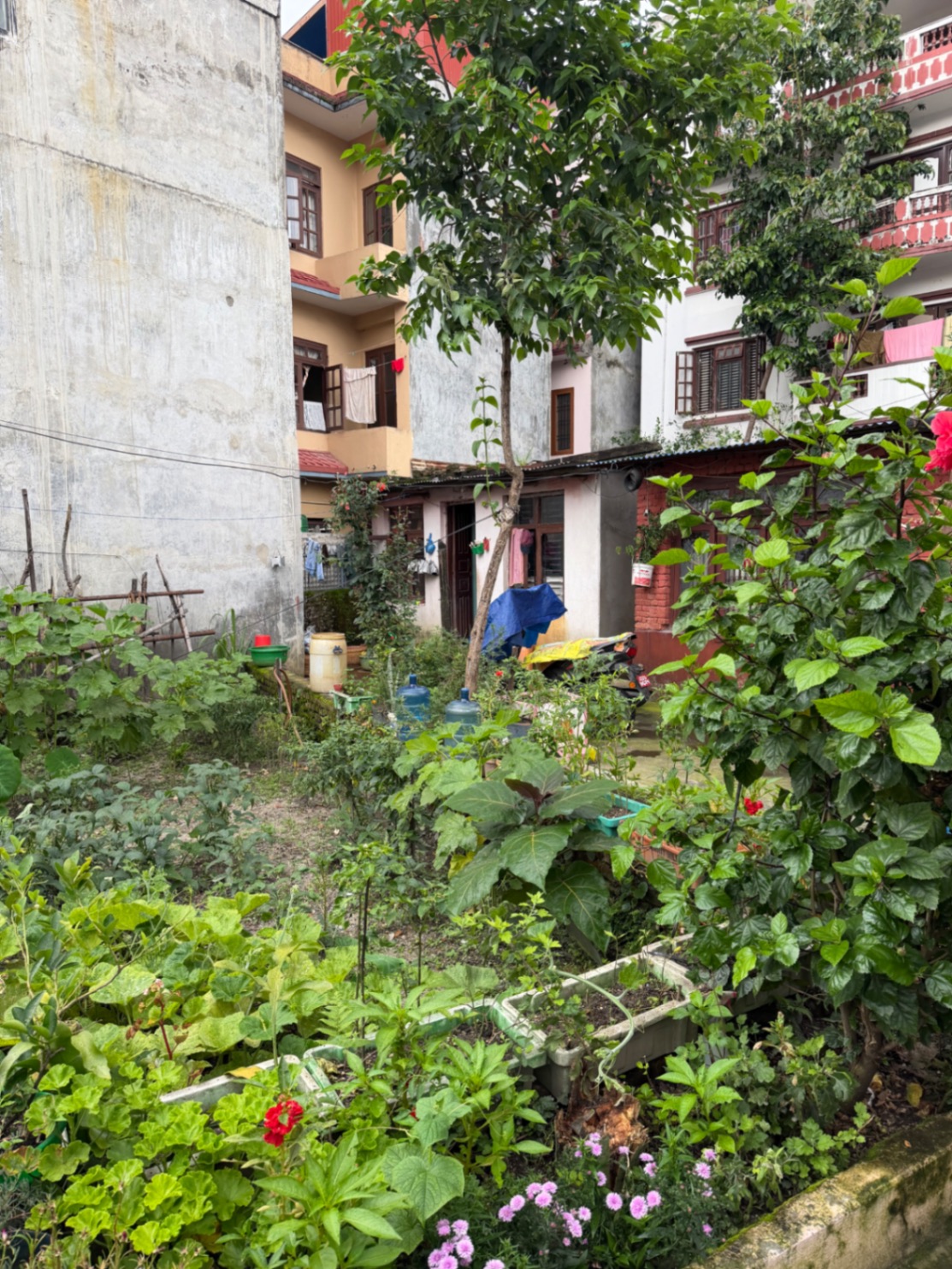 #SS2291 Semi-commericial Land on sell at Bouddha, Kathmandu