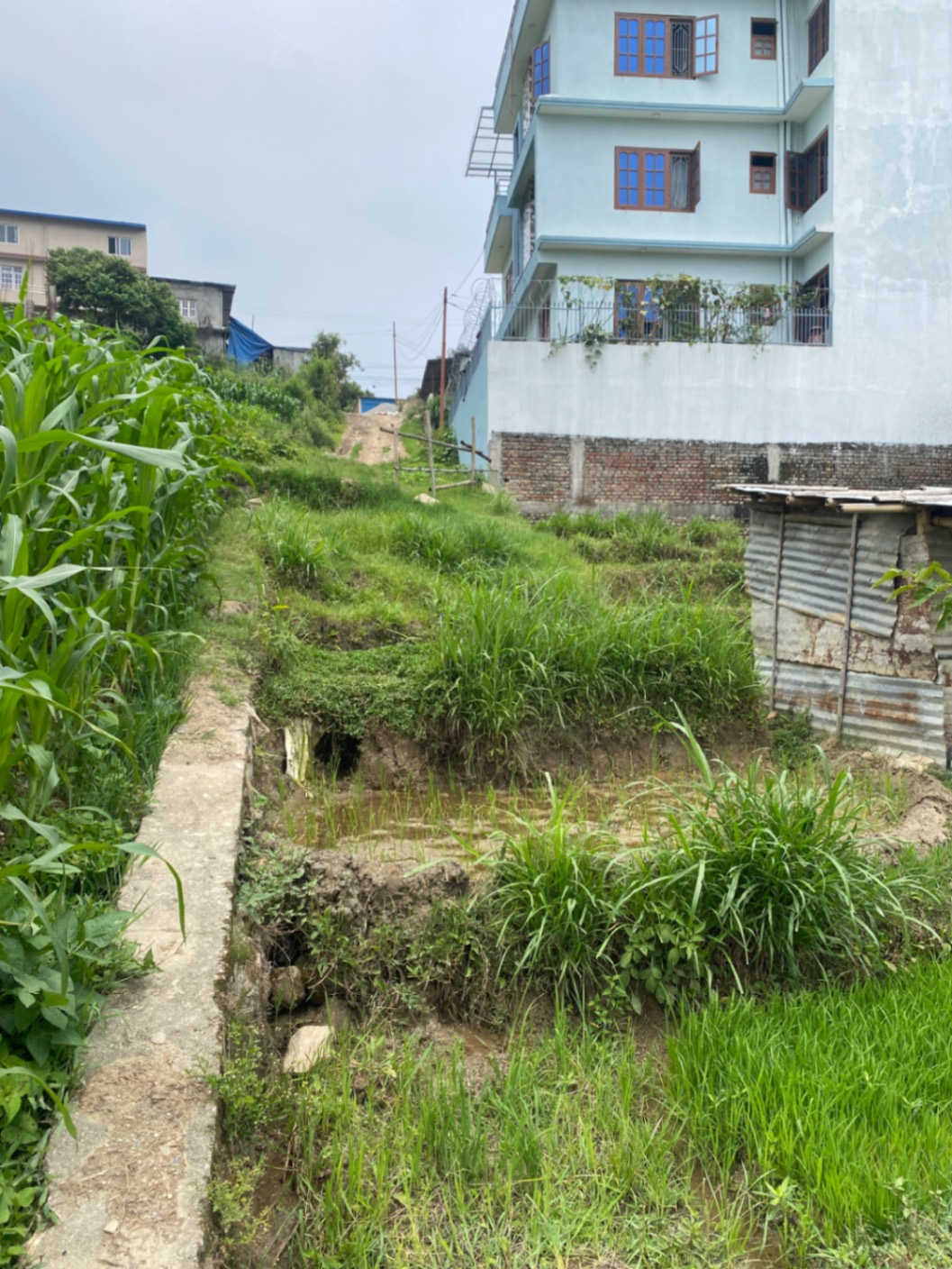 #SS2123 Residential Land on sell at Dachi Nayagaun, Kageshwari-Manohara