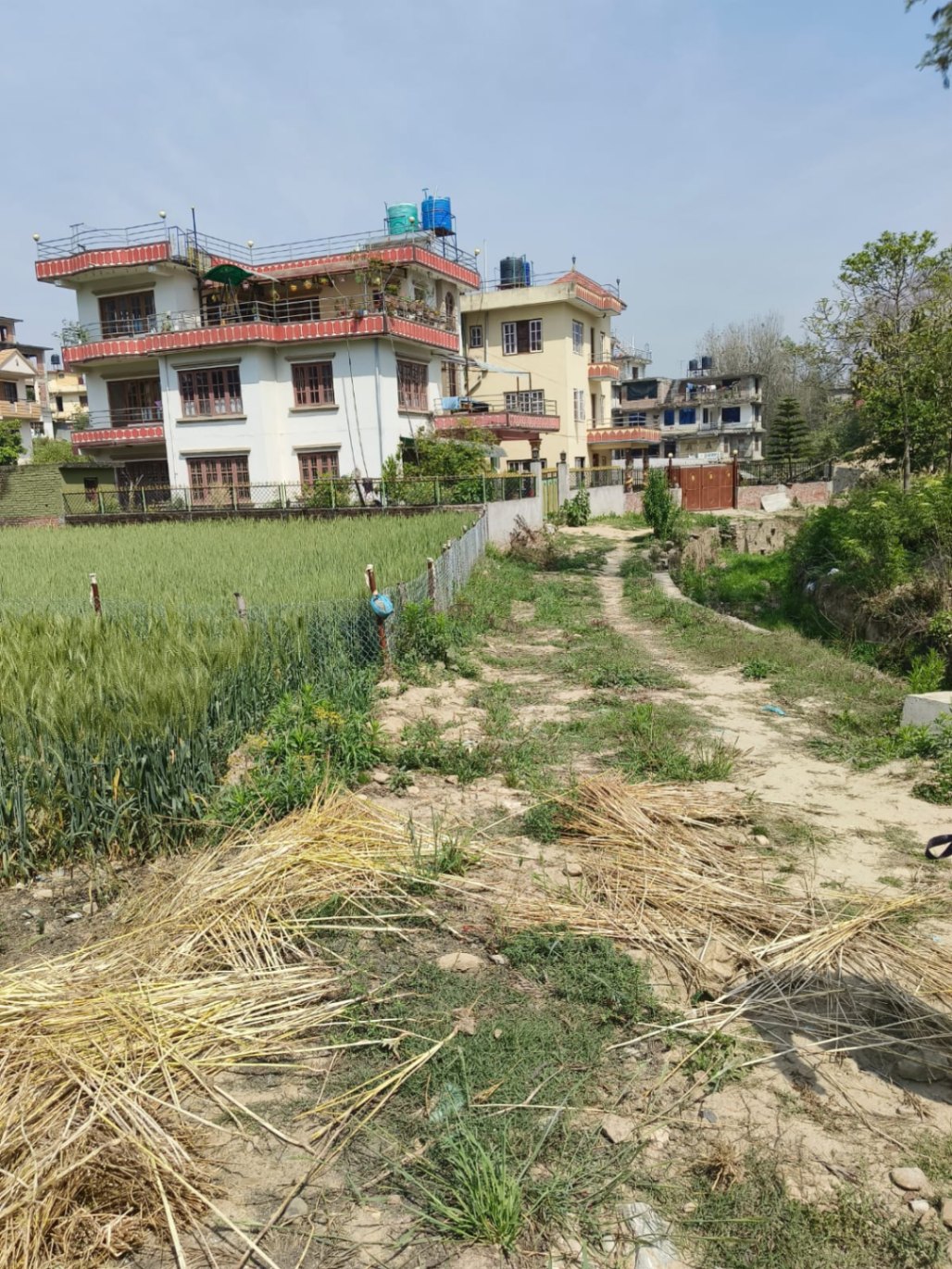 #SS1429 Residential Land on sell at Chittapol, Suryabinayak