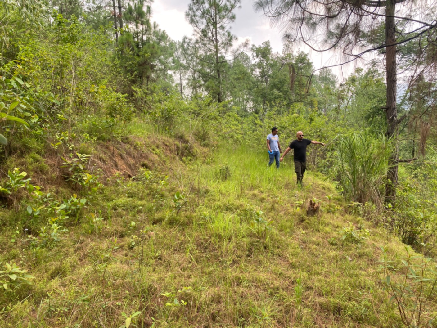 #SS2151 Agricultural Land on sell at Ojhetar, Panchkhal