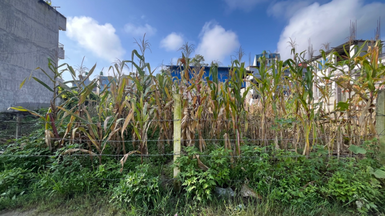 #SS2625 Residential Land on sell at Thali, Kageshwari-Manohara