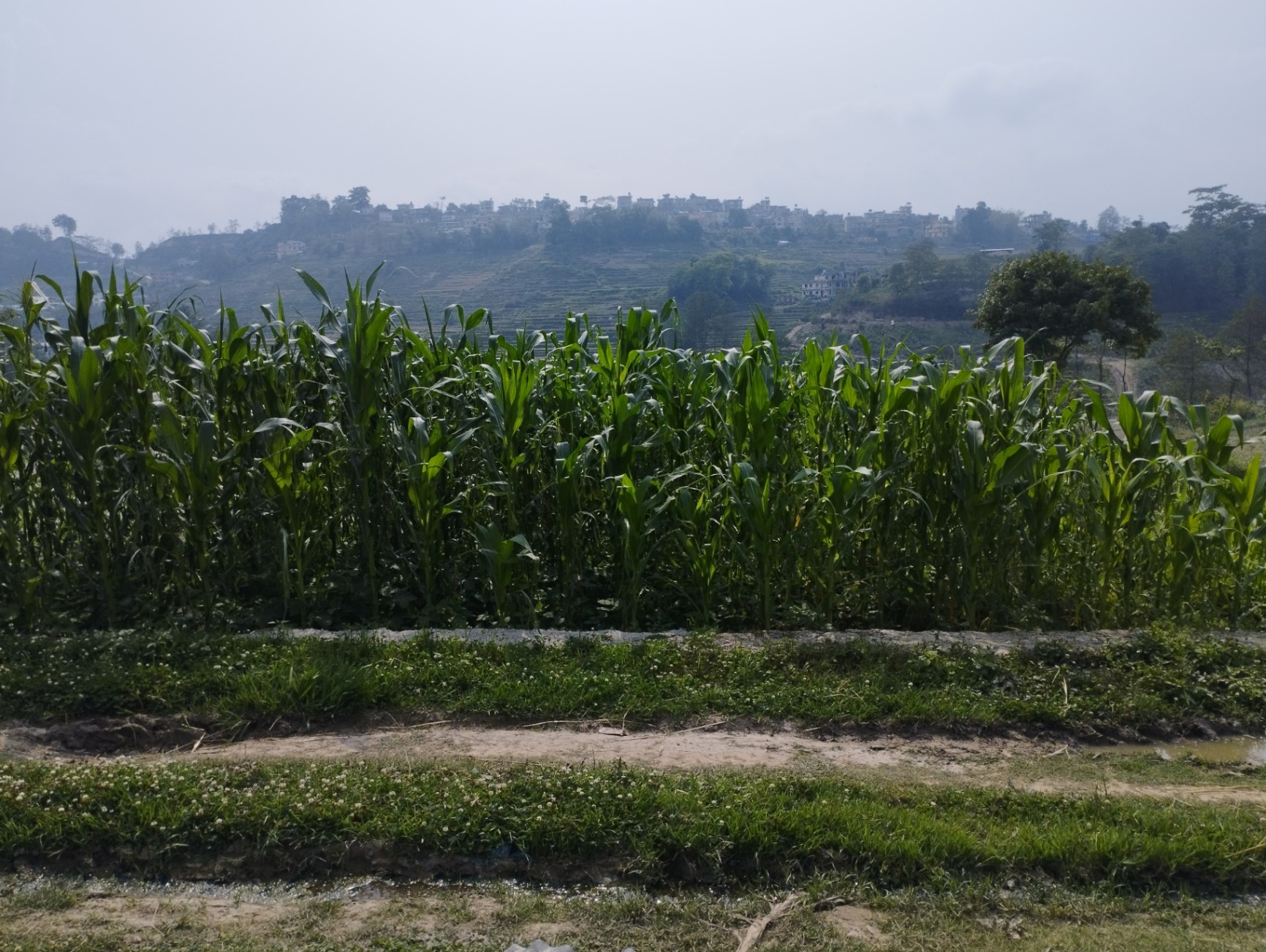 #SS1753 Residential Land on sell at Chapagaun, Godawari