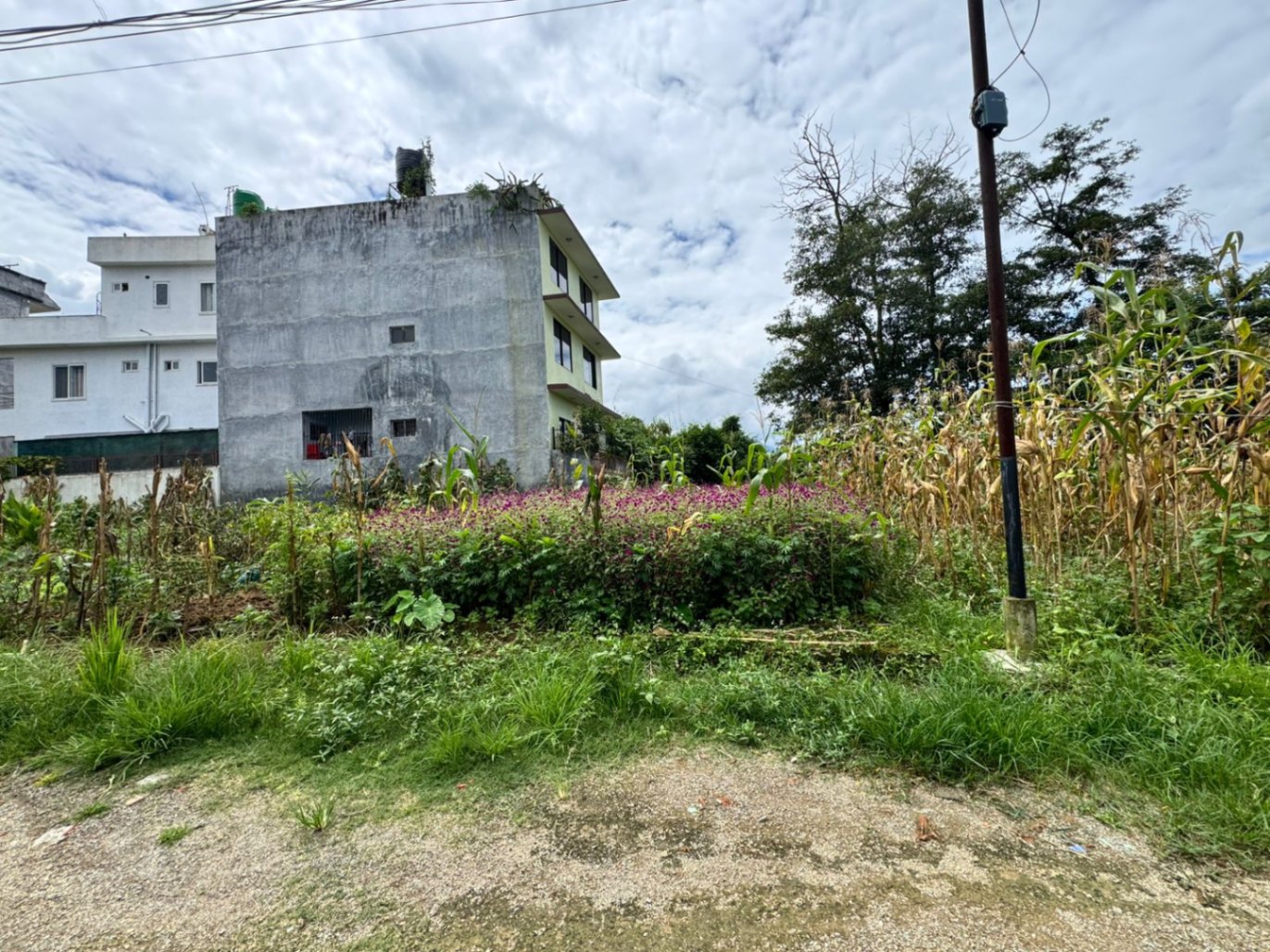 #SS2586 Residential Land on sell at Dhapakhel, Lalitpur