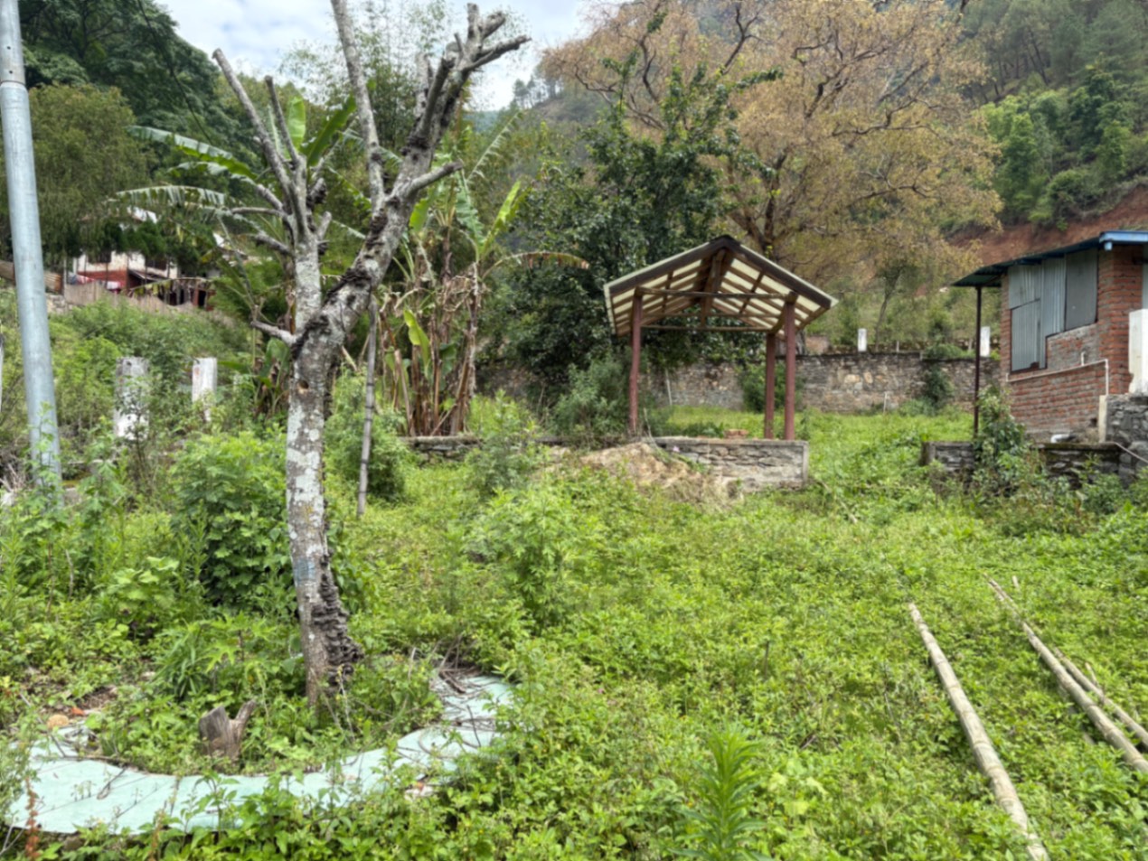 #SS1949 Commercial Land on sell at Dollu, Dakshinkali