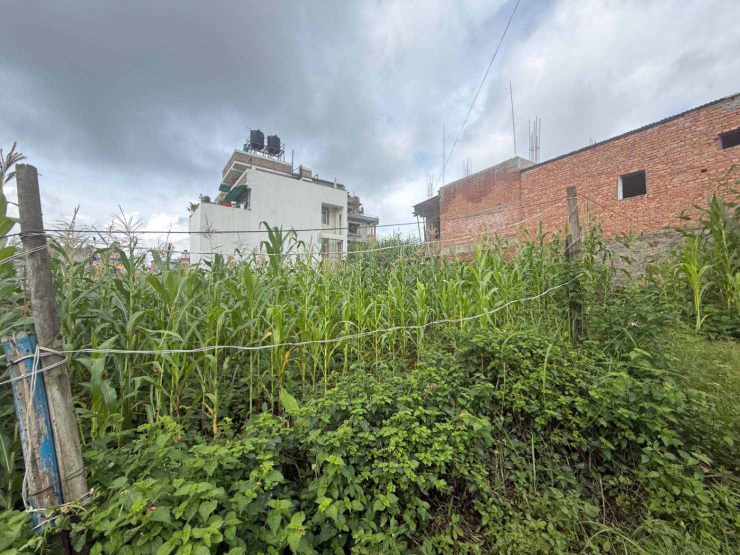#SS2277 Plotting Land on sell at Lalitpur, Lalitpur