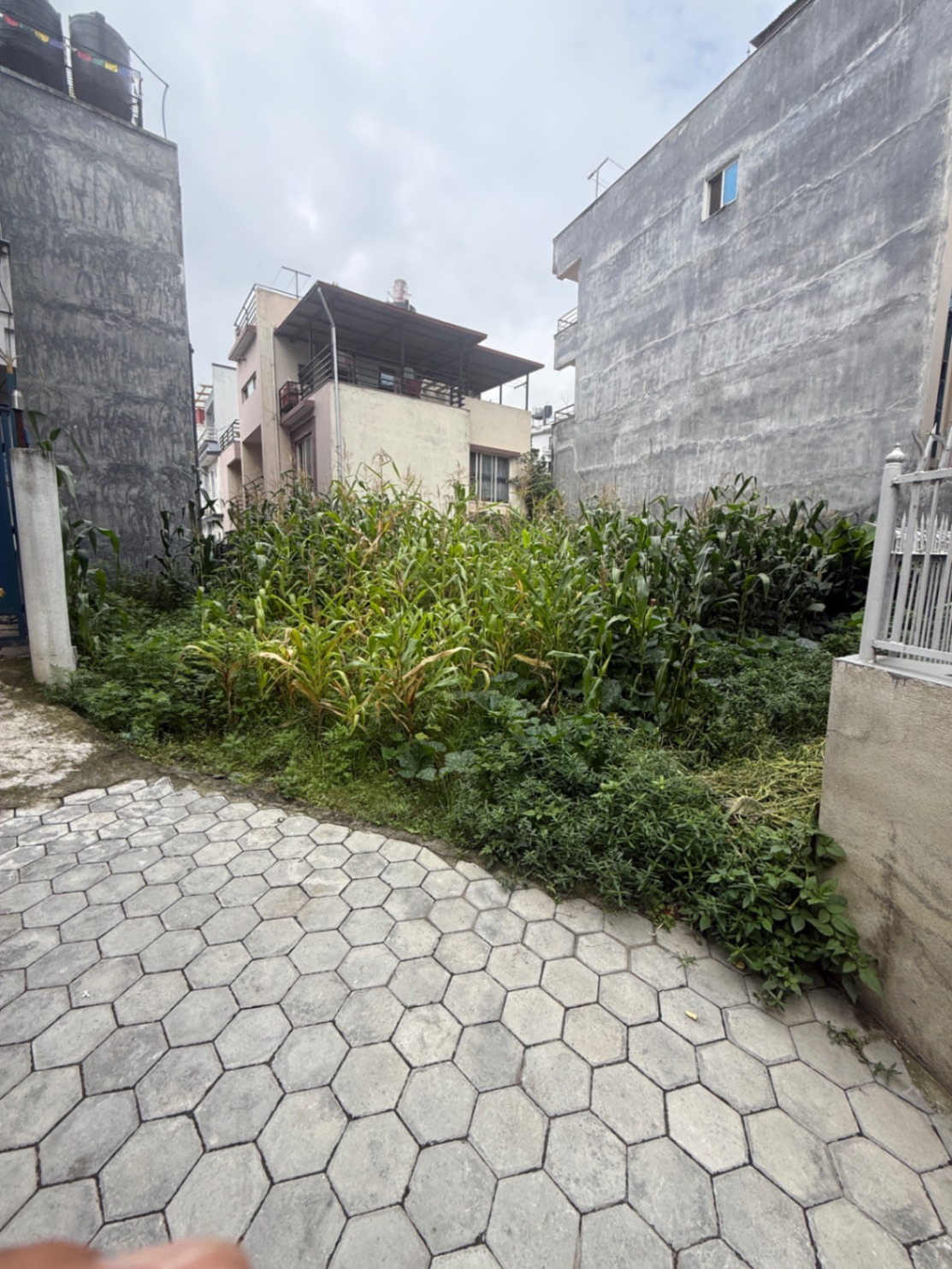 #SS2210 Plotting Land on sell at Bhaisepati, Lalitpur