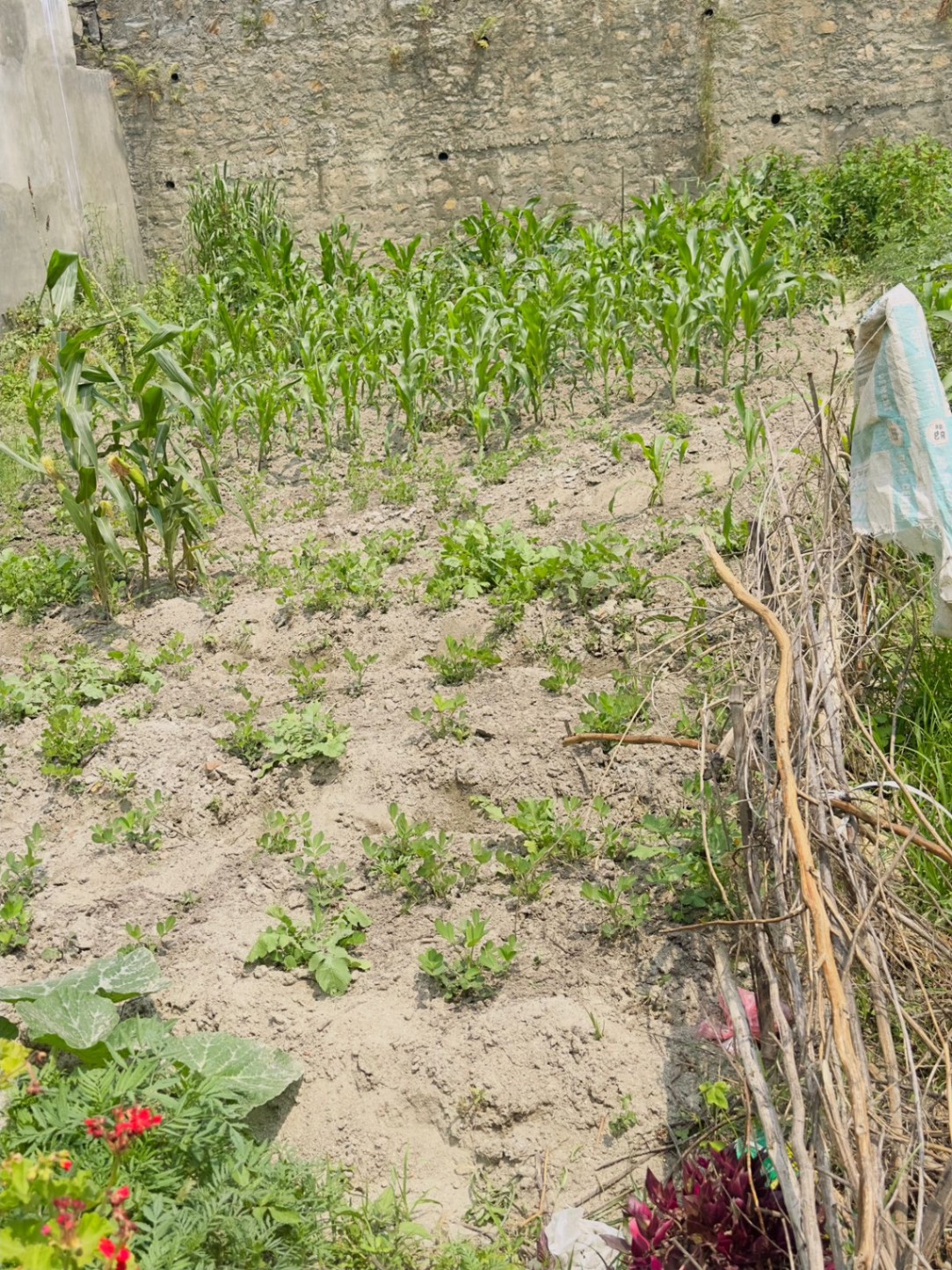 #SS1732 Residential Land on sell at Banasthathil kharibot , Tarakeshwar