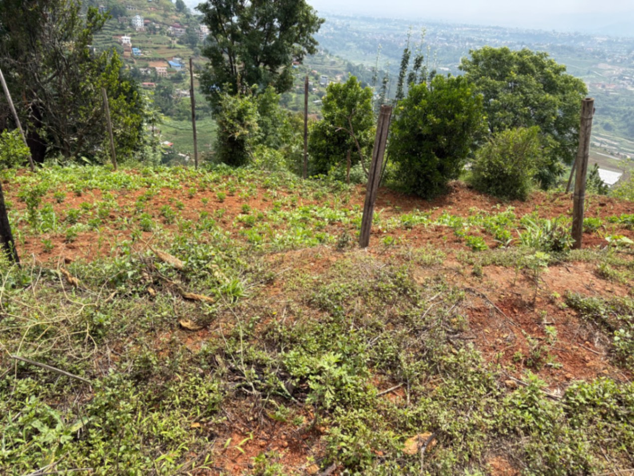 #SS1921 Residential Land on sell at Bhanjang , Dakshinkali
