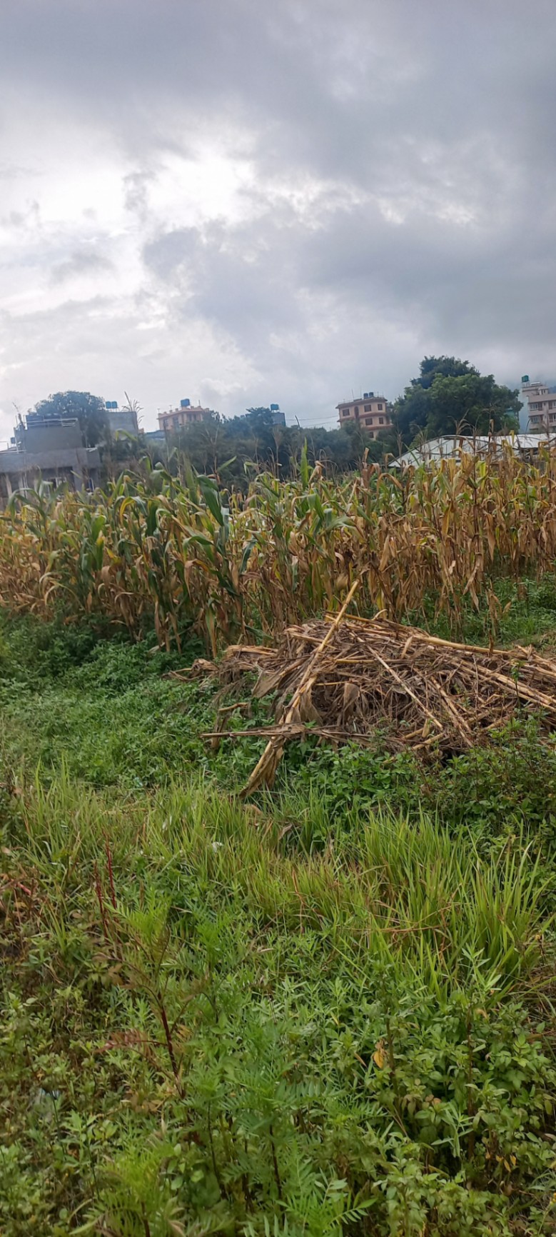 #SS2459 Residential Land on sell at Thankot, Chandragiri