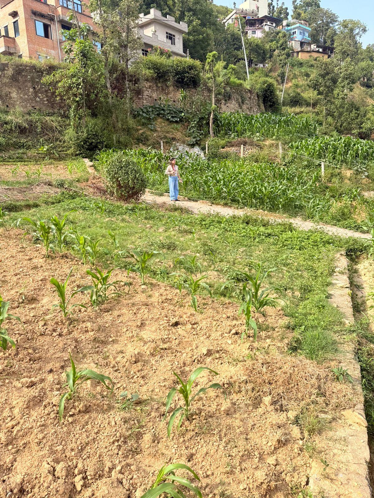 #SS2117 Residential Land on sell at Balambu, Chandragiri