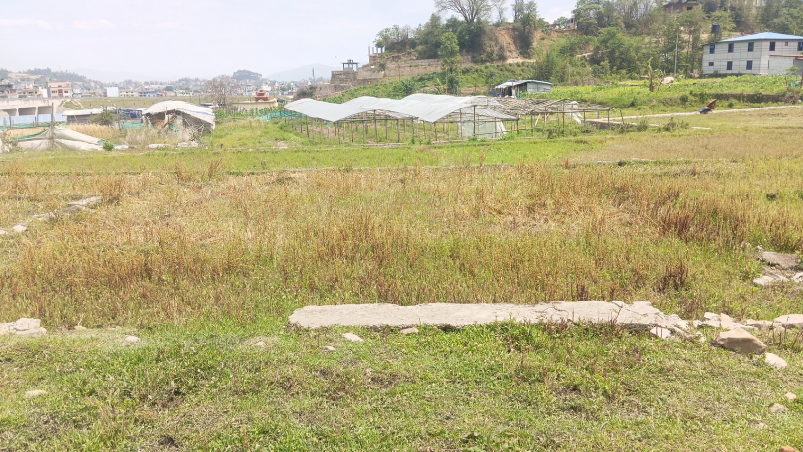 #SS1661 Residential Land on sell at Dahachowk, Chandragiri