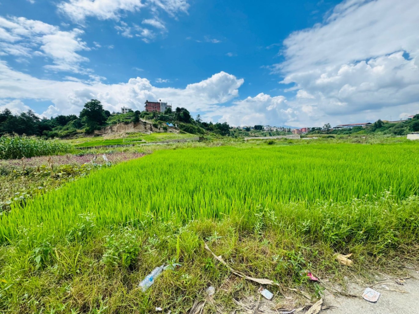 #SS2547 Plotting Land on sell at Harisiddhi, Lalitpur