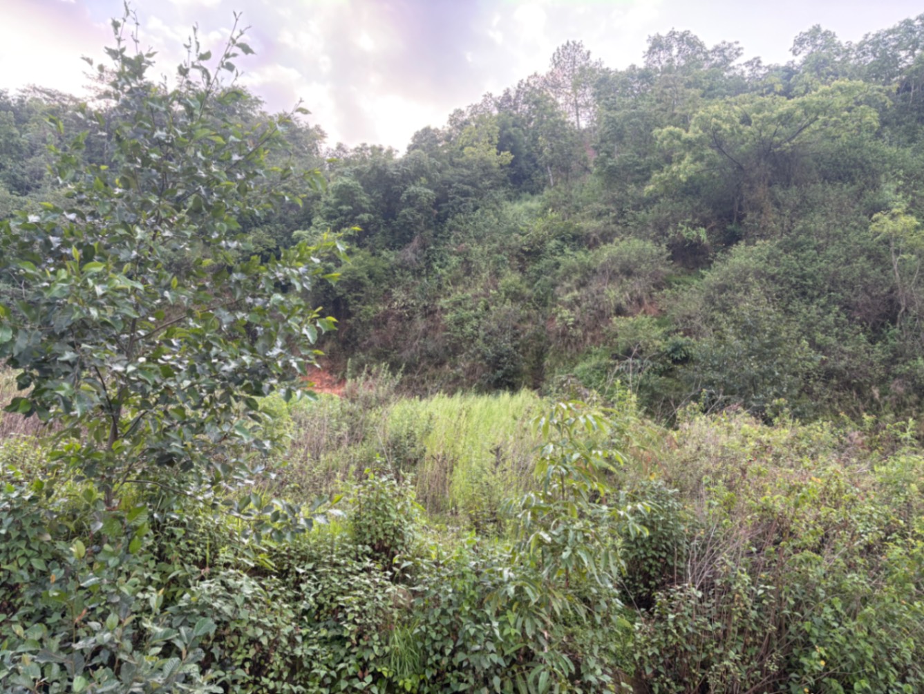 #SS1973 Commercial Land on sell at Bosan, Dakshinkali