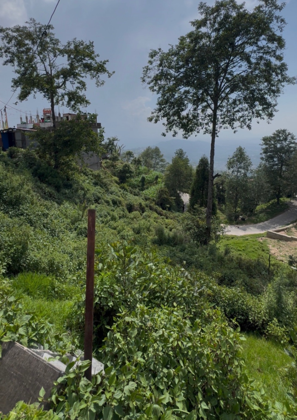 #SS1988 Commercial Land on sell at Nagarkot, Changunarayan