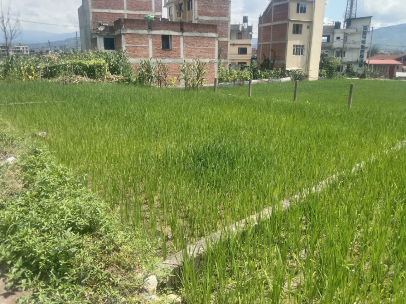 #SS2377 Residential Land on sell at Sipadol, Suryabinayak