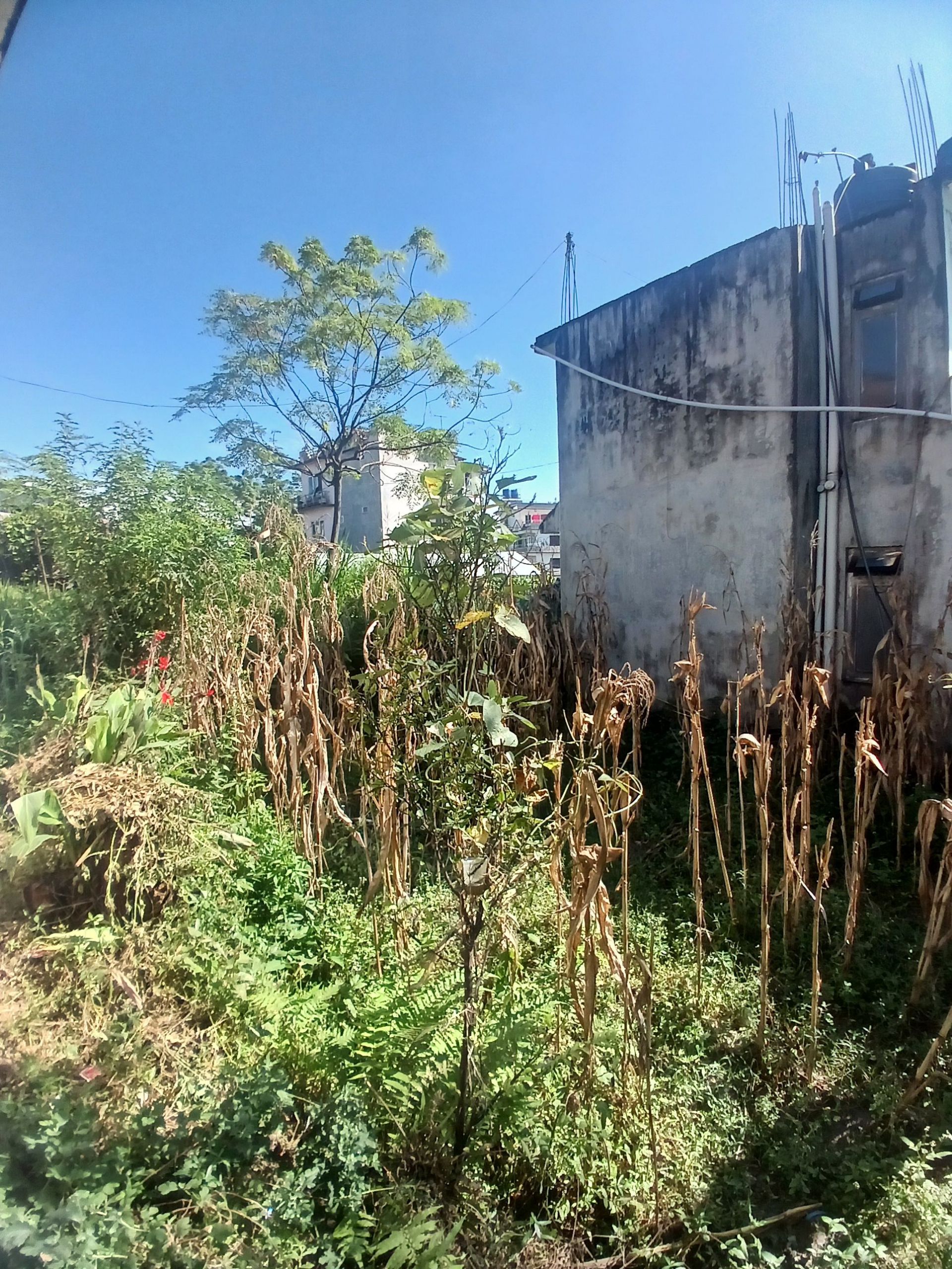 Land for sale in Bhaktapur.