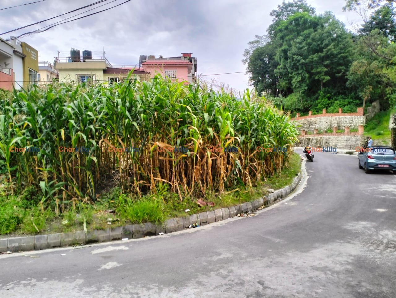 LAND FOR SALE IN CHANDOL KATHMANDU