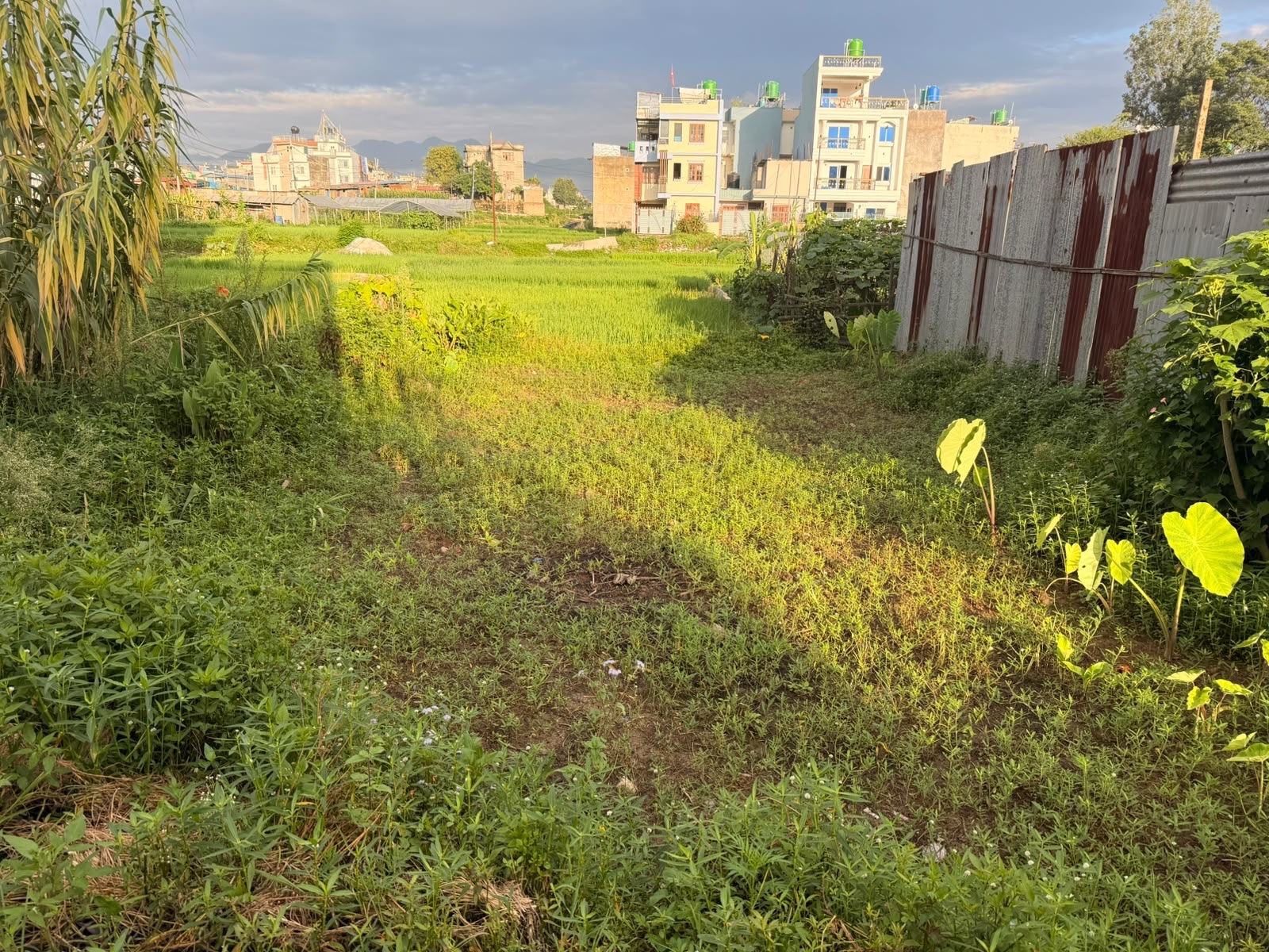 1 Ropani Land For Sale In Lubhu Don Bosco