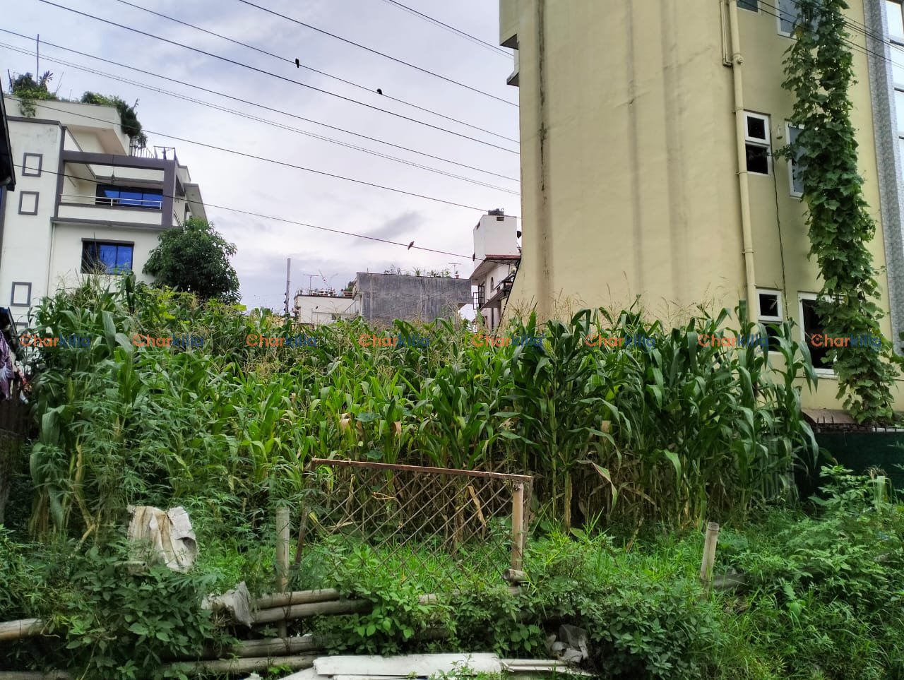 LAND FOR SALE IN CHANDOL KATHMANDU