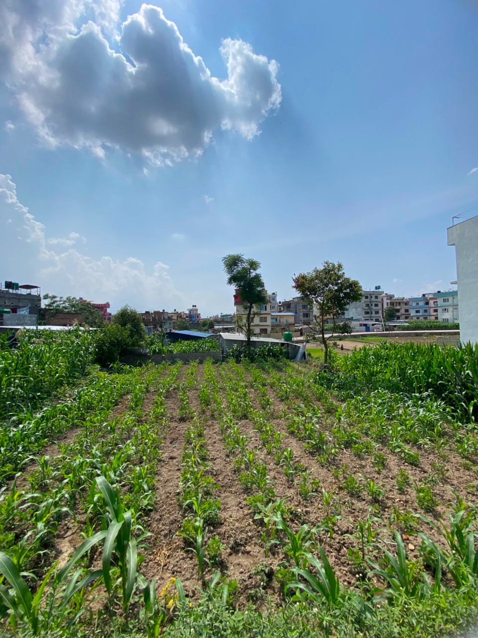 #G1113 Land for Sale at Balkot, Mahendra Shanti | 4 Aana | 38 Lakhs/Aana